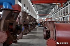珠海魏彬健康管理有限公司被评为2019年度三水区骨干企业